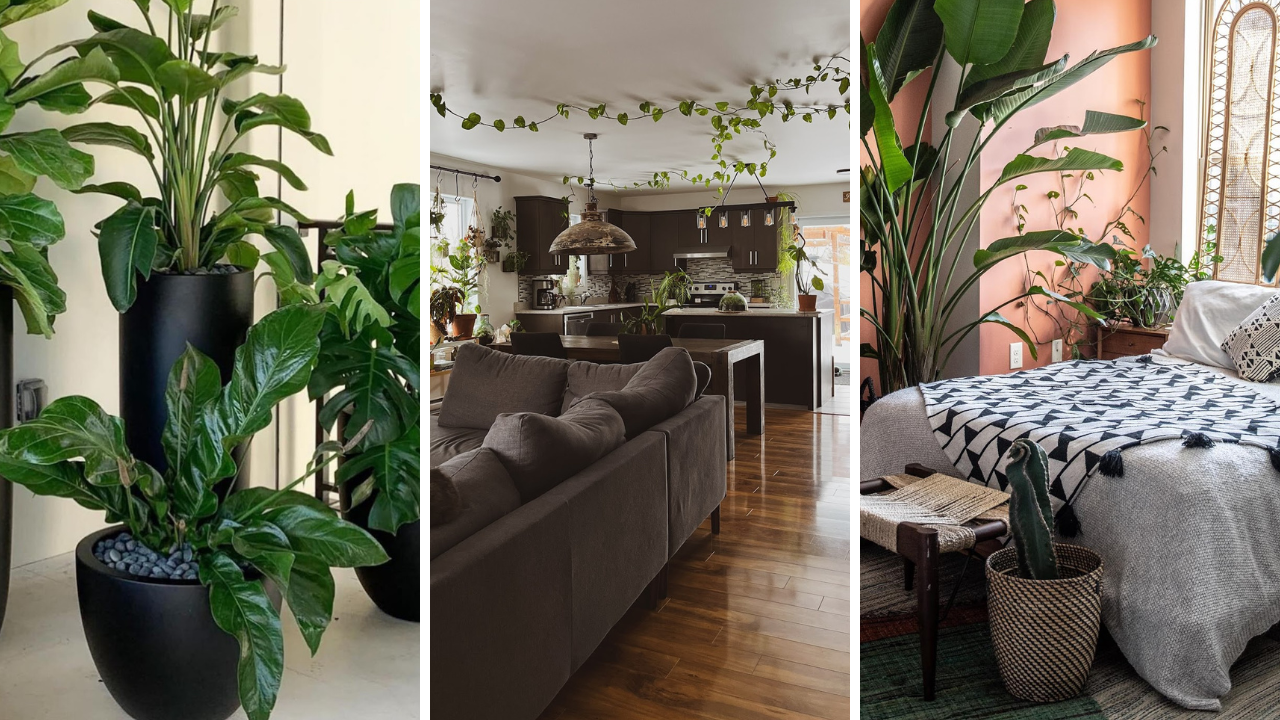 Green Leaves Bedroom Hacks