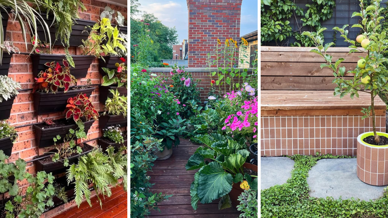 small garden ideas
