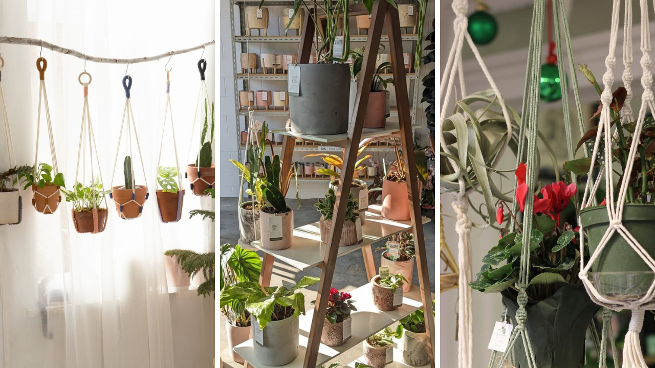 15 Macrame Plant Hanger Ideas You Need to Try Today