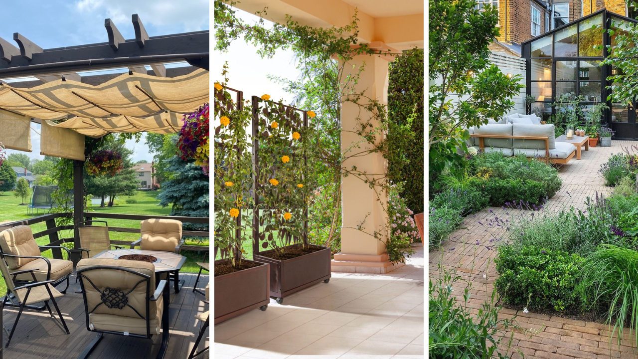 outdoor garden ideas